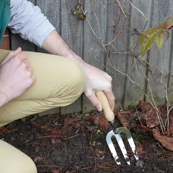 fourchette manuelle jardinage